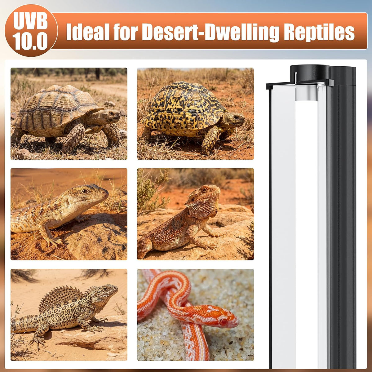 T5 UVB 10.0 Reptile Light Fixture Combo Kit (12Inch)