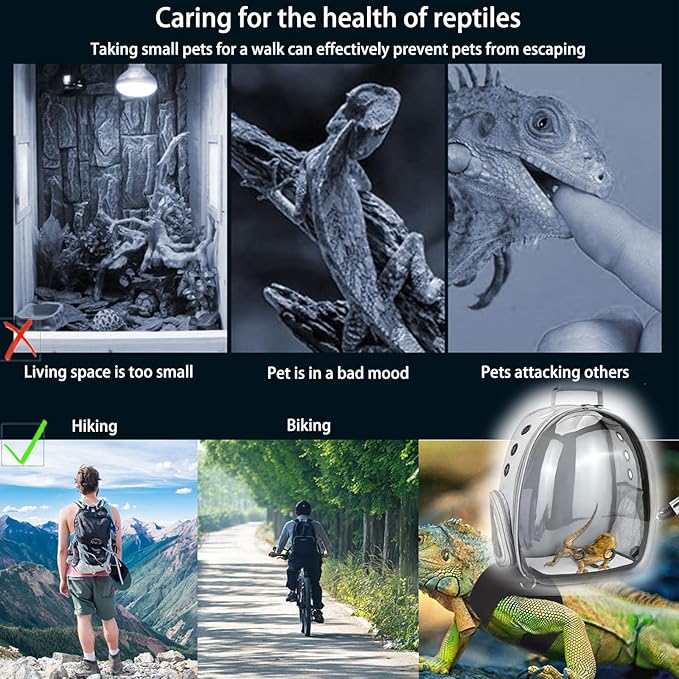Bearded Dragon Carrier with Harness and Leash Set Large Small Animal Carrier - Image 6