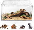 AZV Escape-Proof Tarantula Enclosure,0.8 Gallon Clear PC Reptile Terrarium