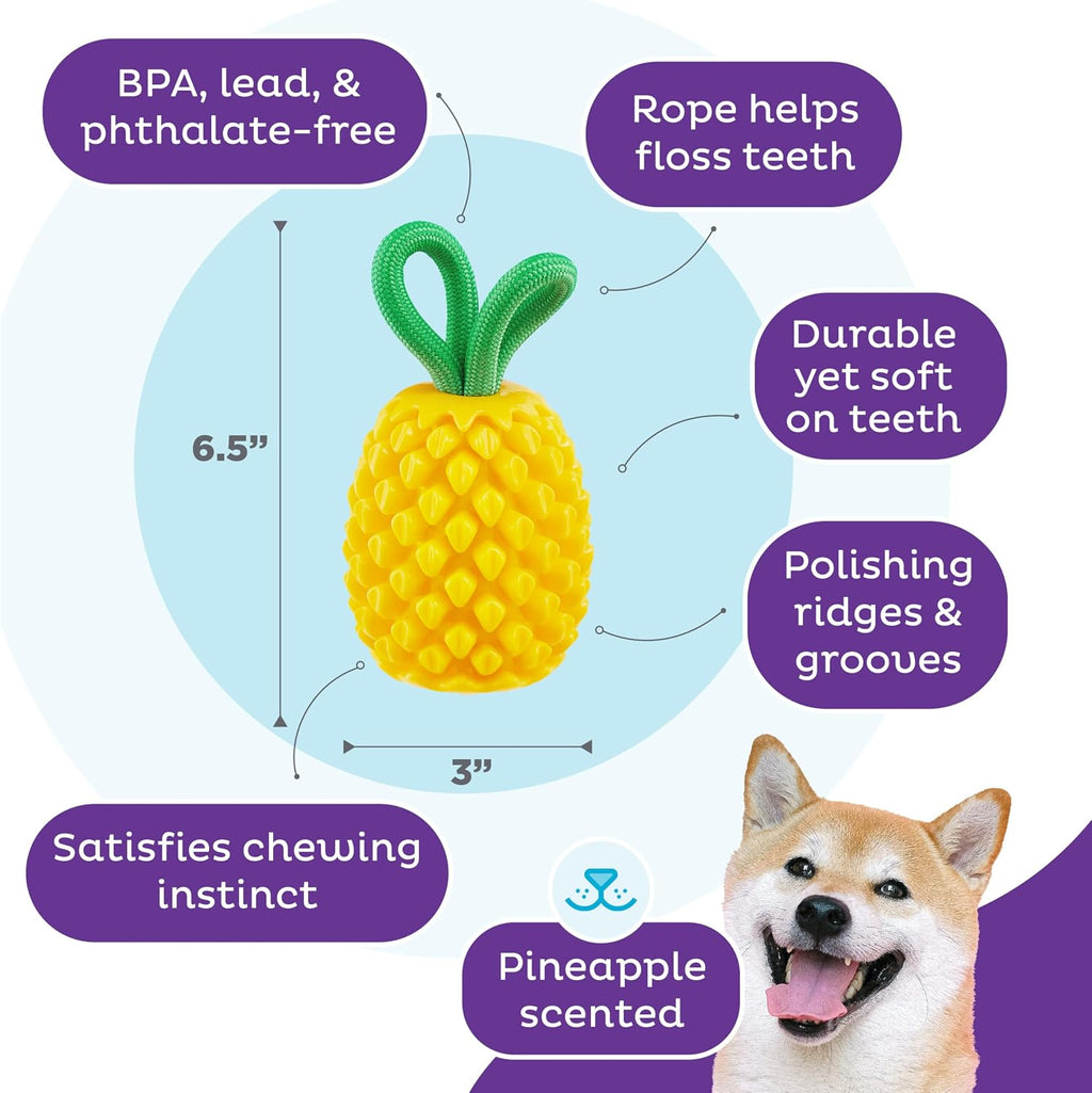 Outward Hound Dental Pineapple Chew & Treat Stuffer Dog Toy for All Breeds