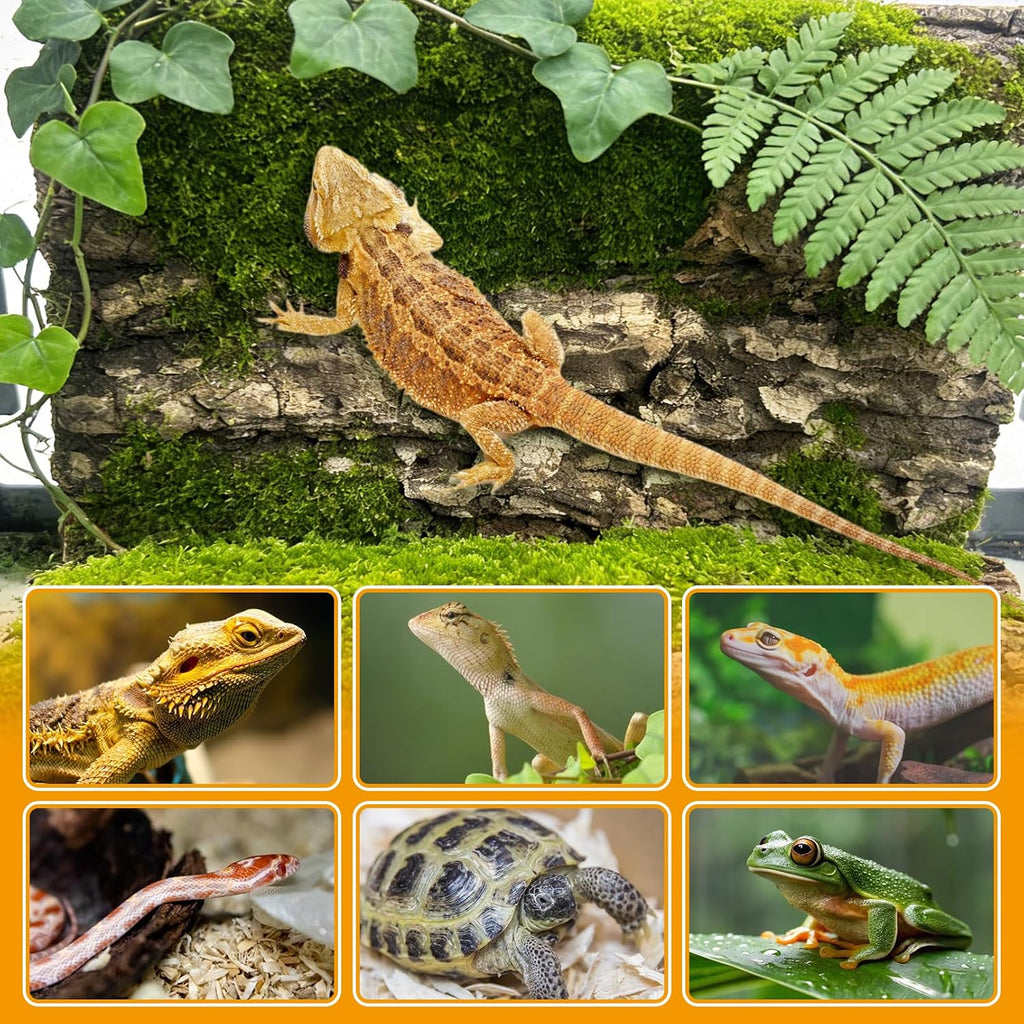 Reptile Cork Bark Bedding 6PCS Bearded Dragon Climbing Wall Mat