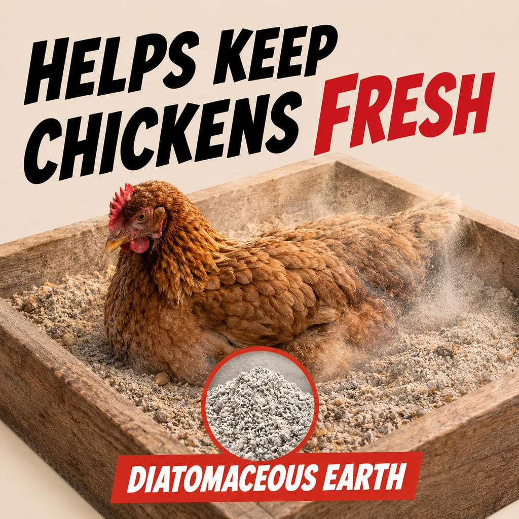 4lbs Chic Hens Chicken Dust Bath, Natural 4-Ingredient Blend for Chickens, Dust Bath Powder with Diatomaceous Earth, Biochar, Zeolite & Sulfur, Made in USA