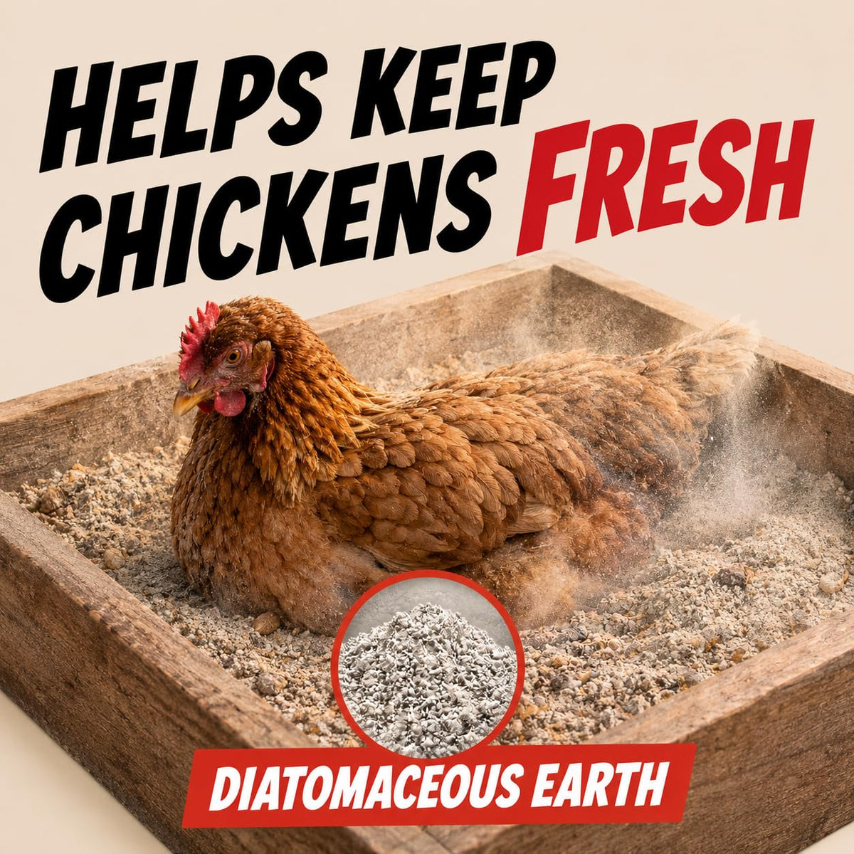 4lbs Chic Hens Chicken Dust Bath, Natural 4-Ingredient Blend for Chickens, Dust Bath Powder with Diatomaceous Earth, Biochar, Zeolite & Sulfur, Made in USA