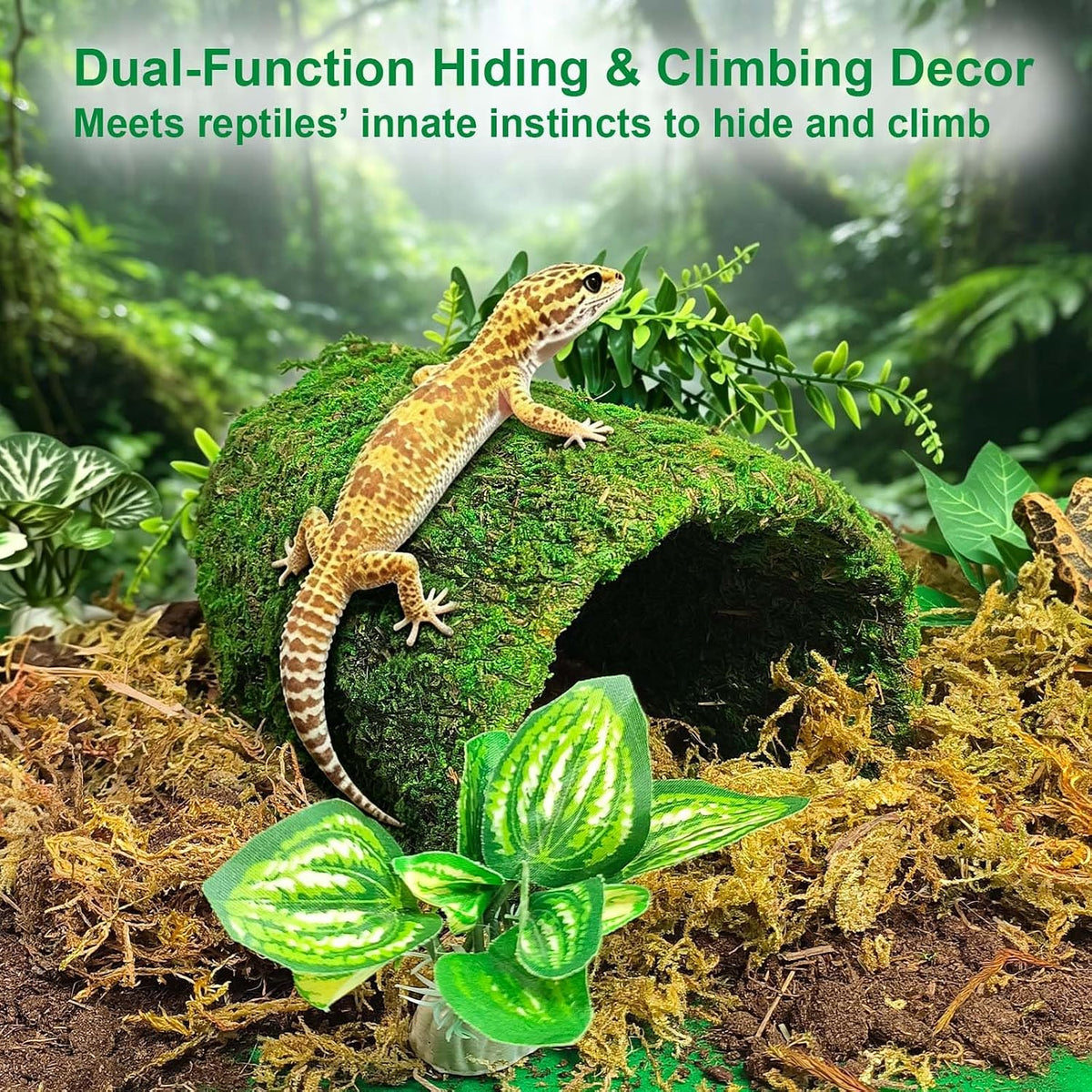 kathson Leopard Gecko Hide,Reptile Hideout Climbing Moss Caves Snake Hide