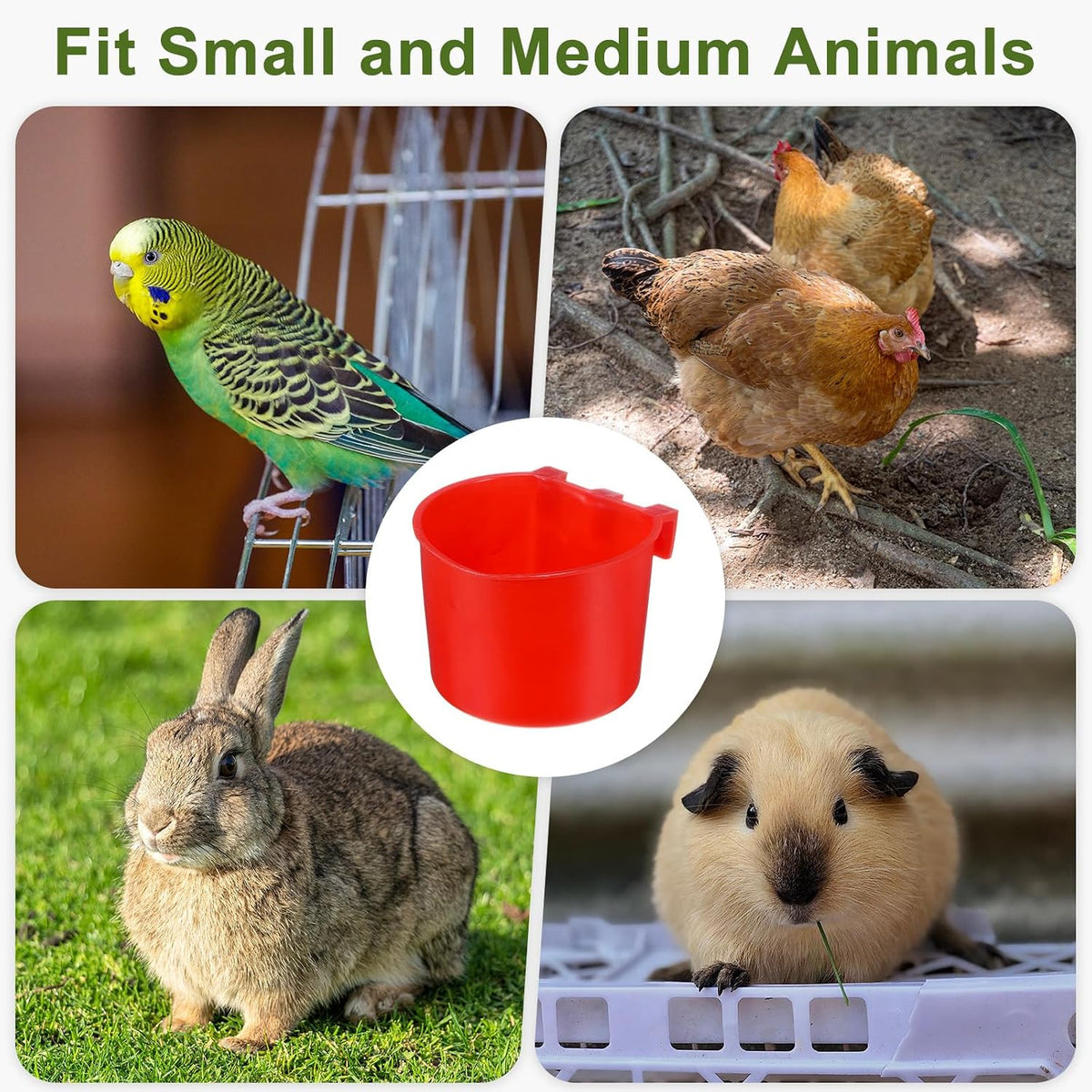 M METERXITY 10-Pack Bird Cage Cups 7 oz Plastic Chicken Feeder, Red