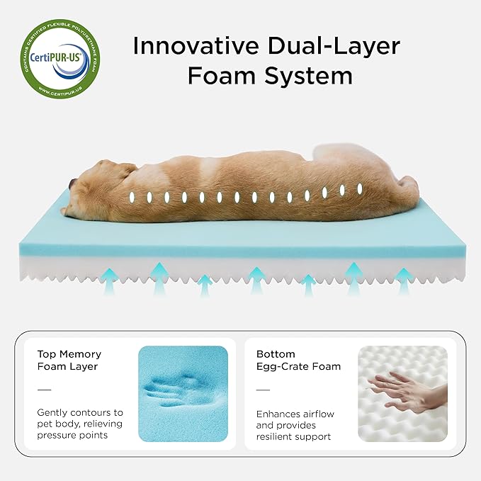 Bedsure Memory Foam Dog Bed for Small Dogs - Image 2