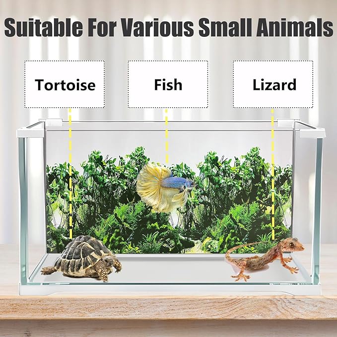 Fish Tank Background Sea Anemone Coral Theme Aquarium Background Poster Fish - Image 3