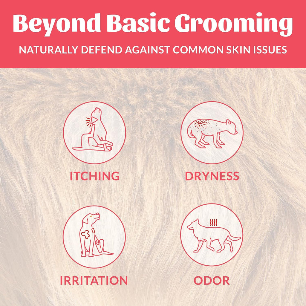 SKOUT'S HONOR Probiotic Dog Deodorizing Spray - Sunkissed Coconut, 8 oz
