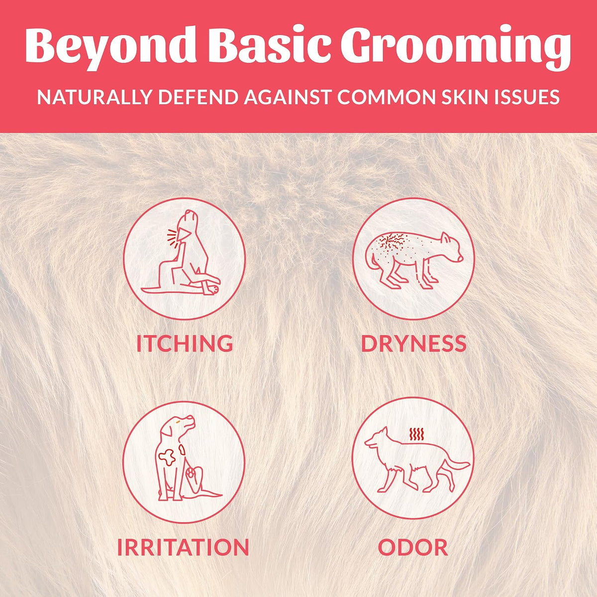 SKOUT'S HONOR Probiotic Dog Deodorizing Spray - Sunkissed Coconut, 8 oz