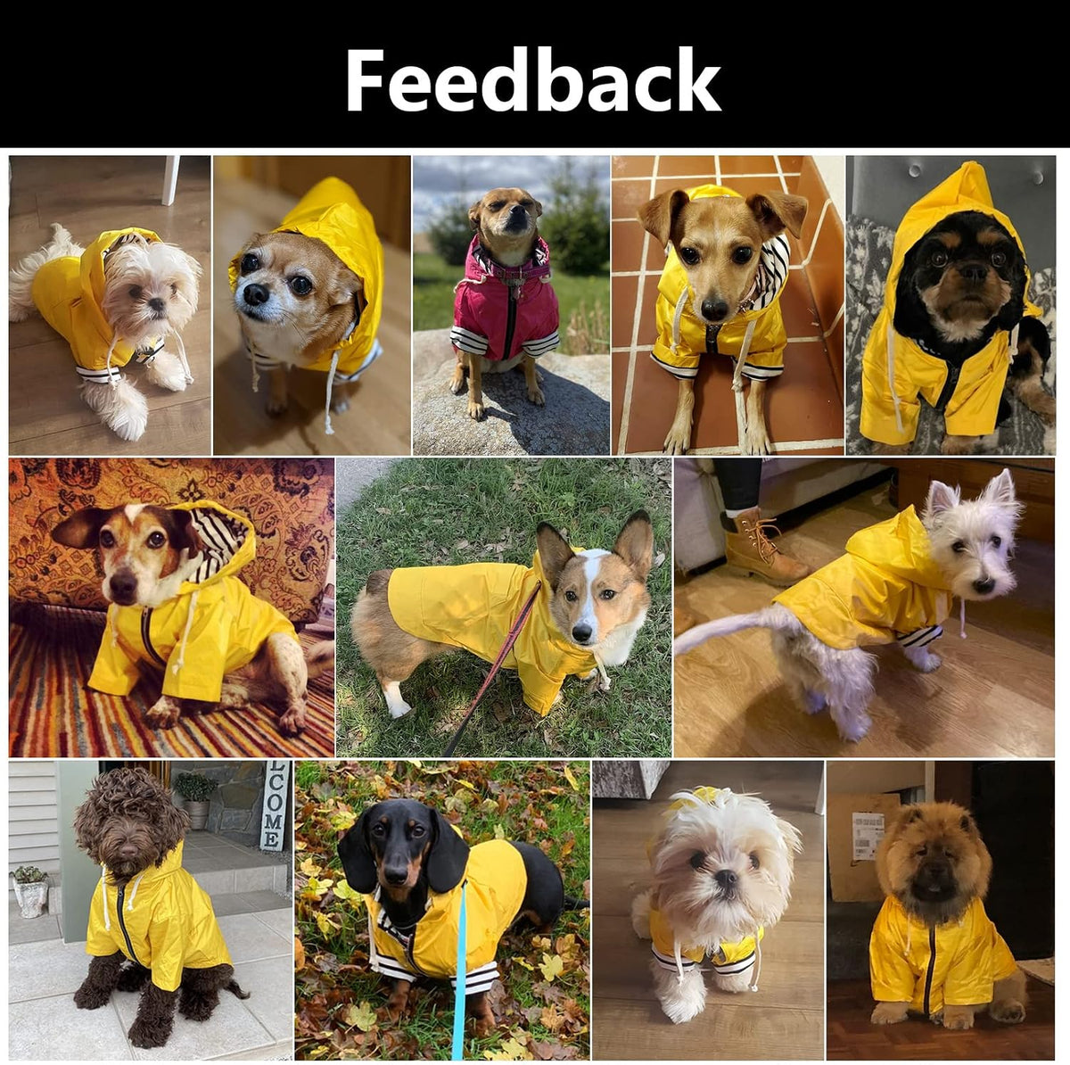 Dog Raincoat rain Jacket Raincoat Dogs Waterproof Small Medium Breeds Zip Closure Storage Pocket Harness Hole Black M