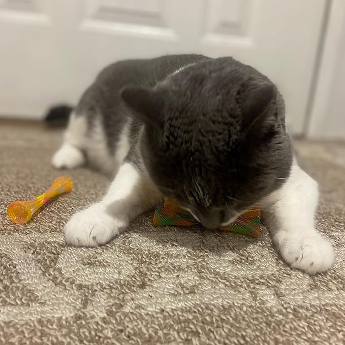 SPOT Kitty Fun Tubes Cat Toy | Bouncy Cat Toy - Image 10