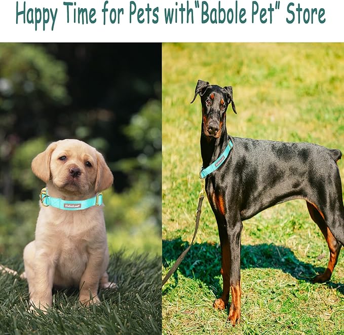 Nylon Dog Collar - Image 5