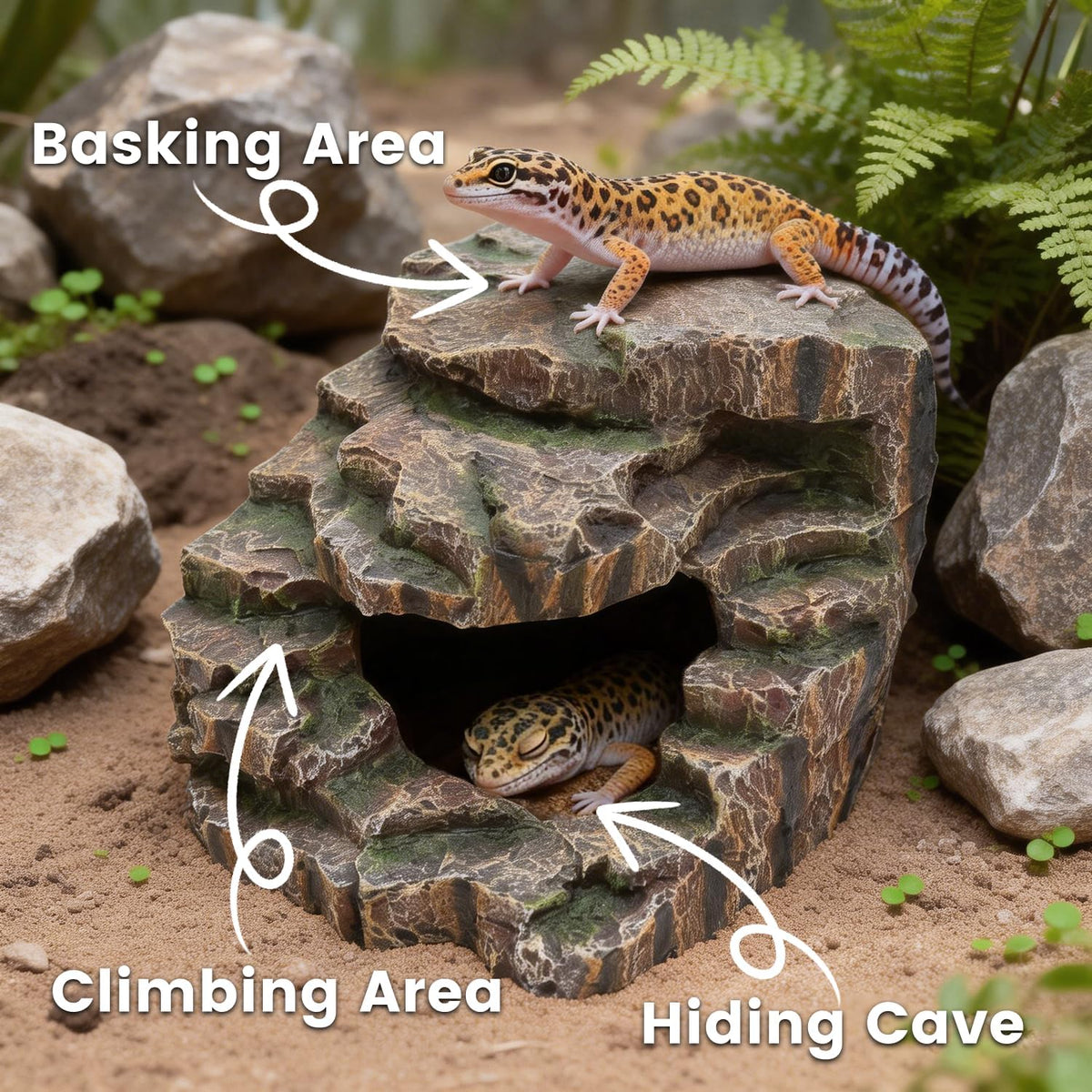 REPTITRIP Large Reptile Hide and Basking Platform, Resin Rock Cave for Geckos, Frogs, Turtles and Lizards