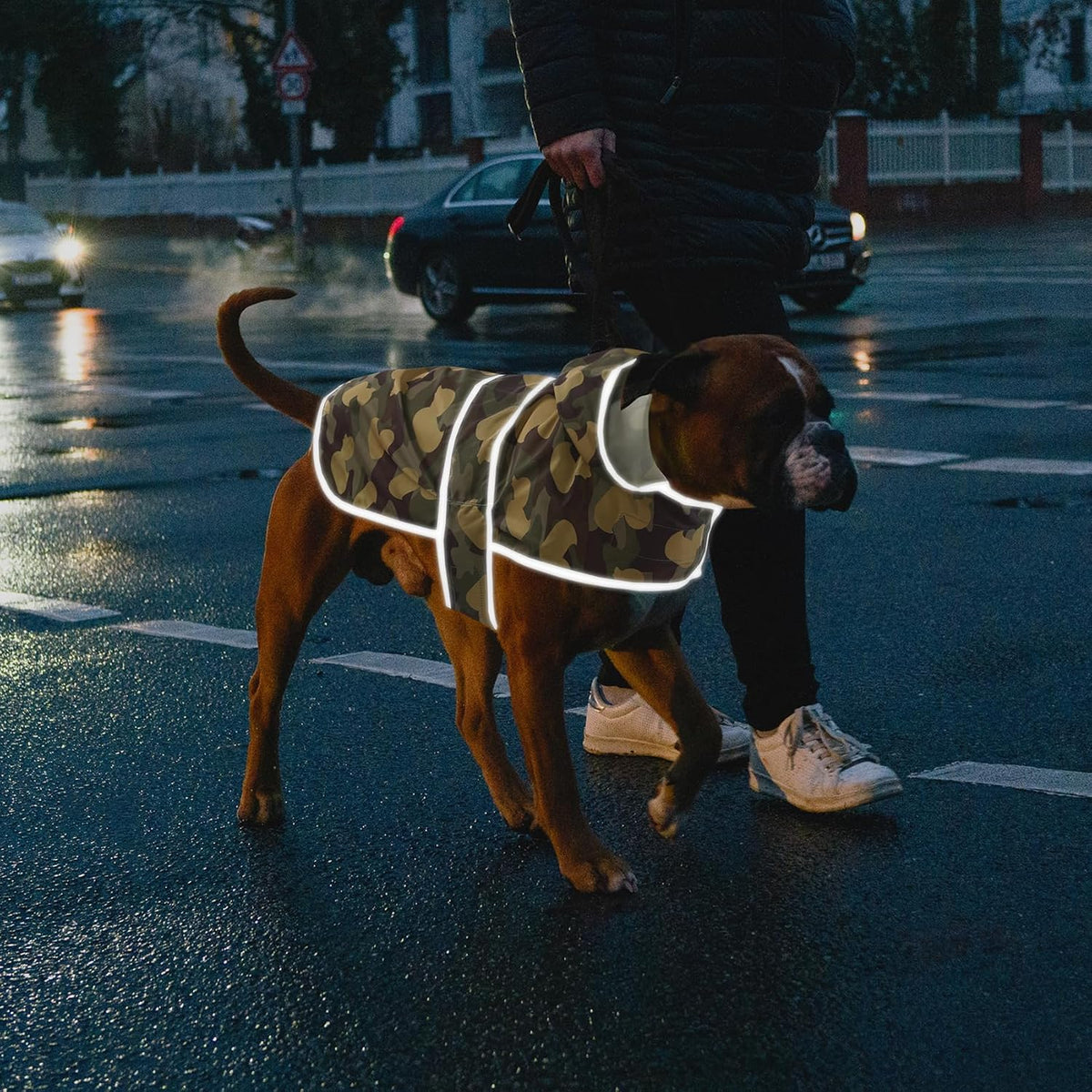 Dog Raincoat for Medium Dogs Waterproof Jacket Hooded Rain Coats with Reflective Strips Leash Hole & Poncho Adjustable Fit (CamoDuck,M)