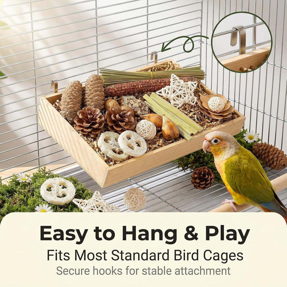 Bird Foraging Box Toy,Natural Chew for Small Medium Parrots