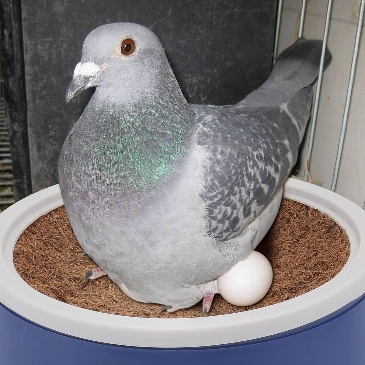 POPETPOP 2 Pack Pigeon Nest Bowls, Plastic Dove Nesting Box with 2 Mats