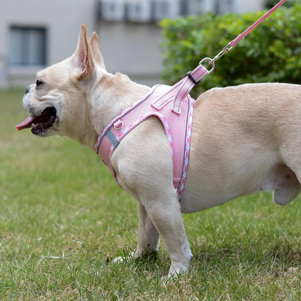Mercano Soft Mesh Dog Harness and Leash Set, Step-in Reflective Breathable Lightweight Vest Harnesses with Safety Buckle for Small Dogs, Cats (Pink, XXS)