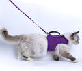 Cat Harness and Leash for Walking Escape Proof Breathable Mesh Fabric, by Yizhi+Miaow