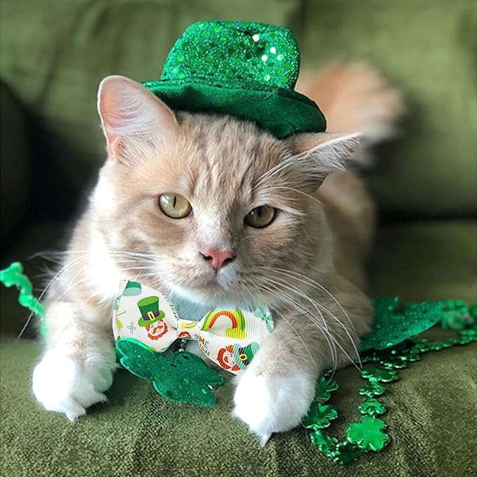 2 Pack St. Patrick Day Cat Collar - Image 4