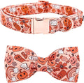 Halloween Dog Collar, Pet Collar Bow Pumpkin Pet Collar Girl Boy Holiday Pet by BoboRainbow