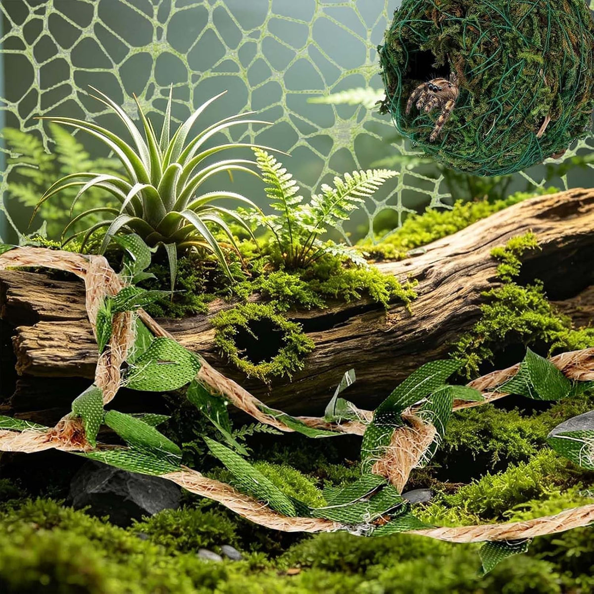 Jumping Spider Accessories, Magnetic Moss Hideout with Resting Platform