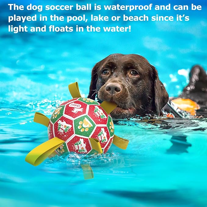 QDAN Christmas Dog Toys: Dog Soccer Ball - Image 8