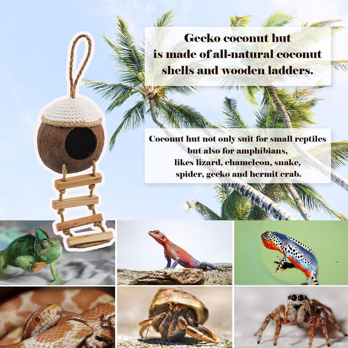 Leopard Gecko Coconut Hut with Ladder,Grested Gecko Coco Den Lizards Hanging Coconut Shell Hideout Cave Reptiles Tank Accessories Climbing Hanging Plants Jungle Vine Flexible Leaves Decor