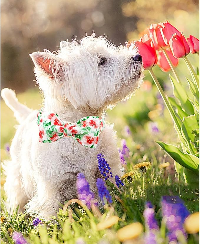 Lionheart glory Dog Collar Bow Collar Floral Dog Collar - Image 5