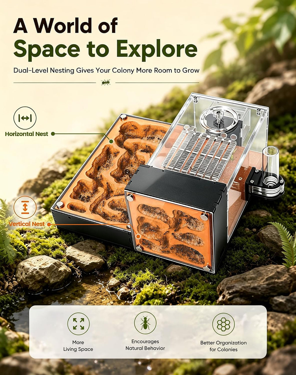 Ant Formicarium for Live Ants & Queen, Dual-Level Ant Nest