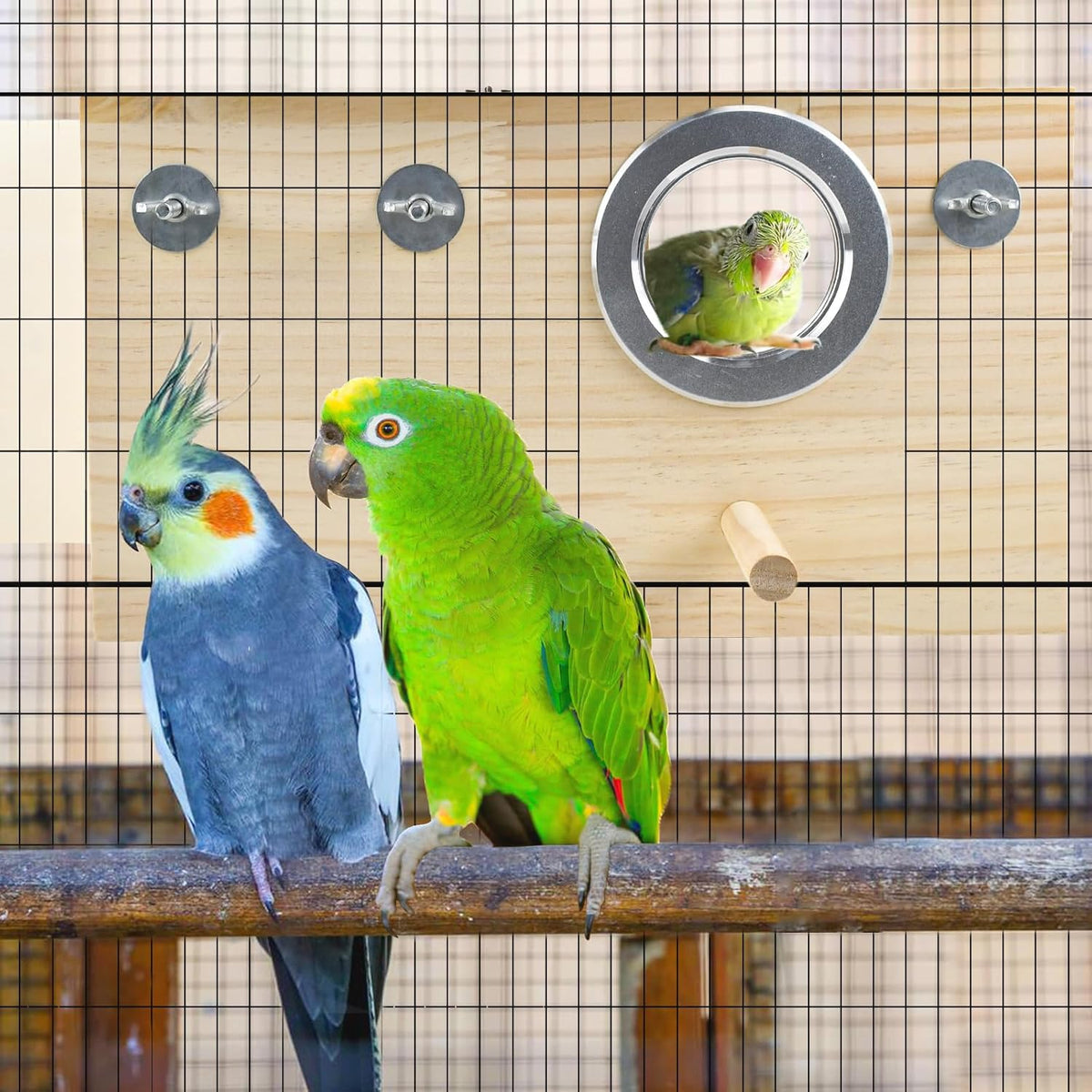 Parakeet Nesting Box Cockatiel Nesting Natural Pine Bird Nest Bird Breeding Box House Acrylic Transparent Bird Box with Detachable Wooden Board for Lovebirds Cockatiel Budgie Conure Parrot XL