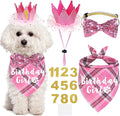 Dog Birthday Party Supplies by JOTFA