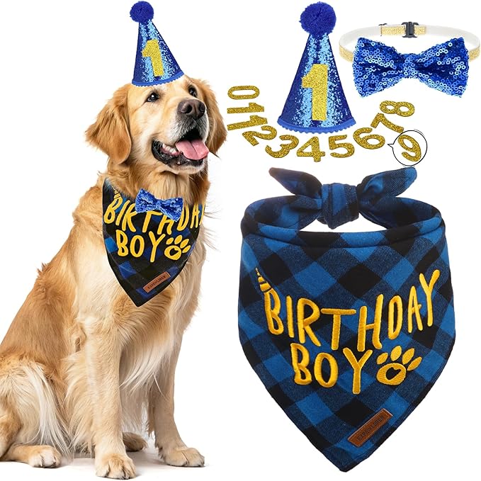 EXPAWLORER Dog Birthday Party Supplies by EXPAWLORER
