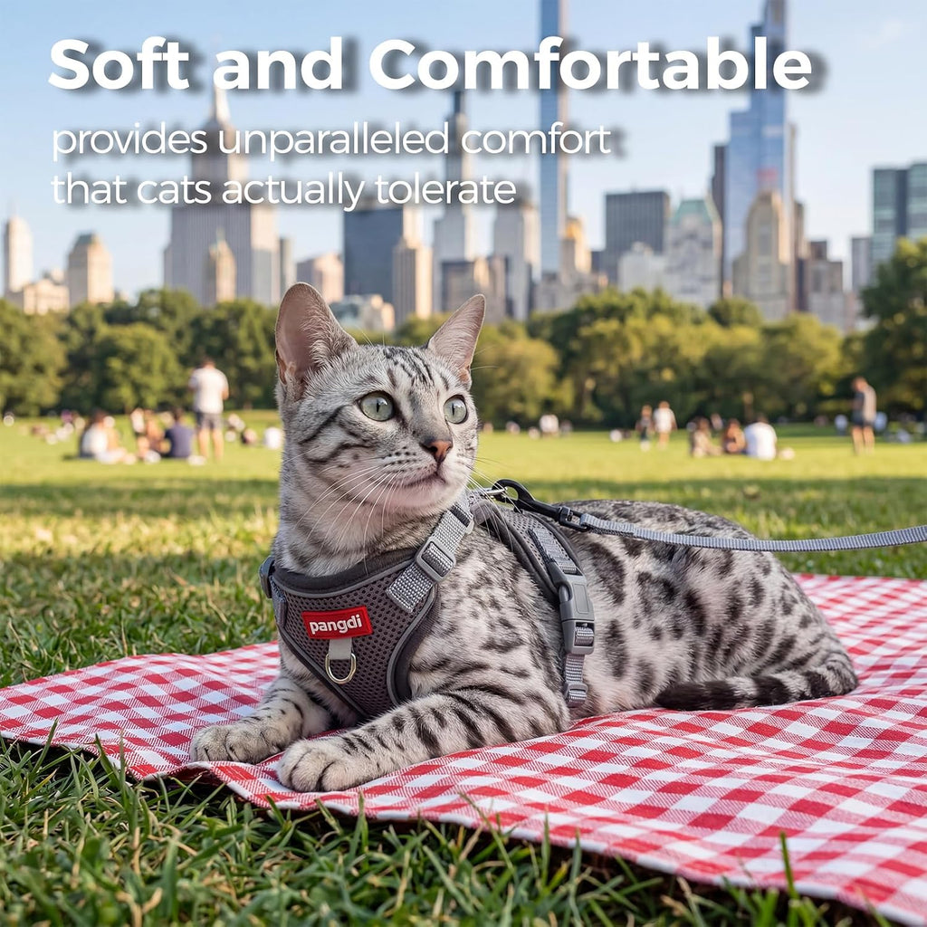 Cat Harness and Leash Set, Lightweight Air-Mesh Cat Vest, Grey, M