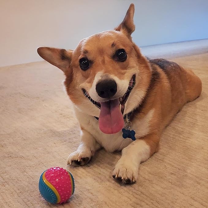 SPOT Sensory Ball for Soft Chewers - Image 7