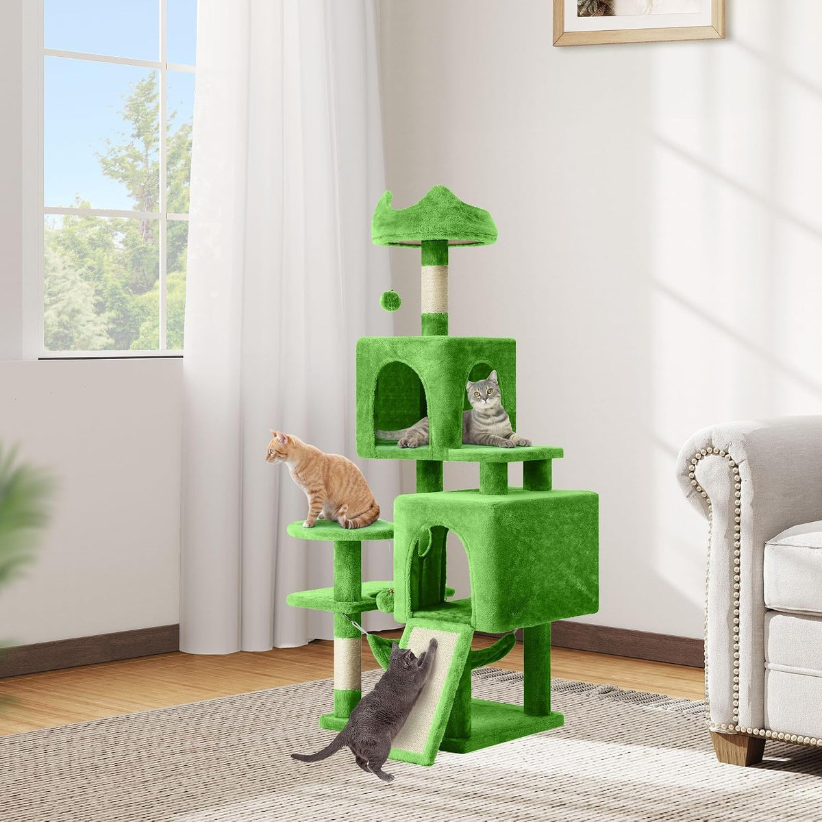 DWVO 54 in Multi‑Level Cat Tower