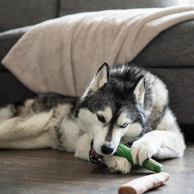 Pupstages by Petstages Dogwood Breath Dog Chew Toy – Real-Wood Blend, Moderate - Image 10