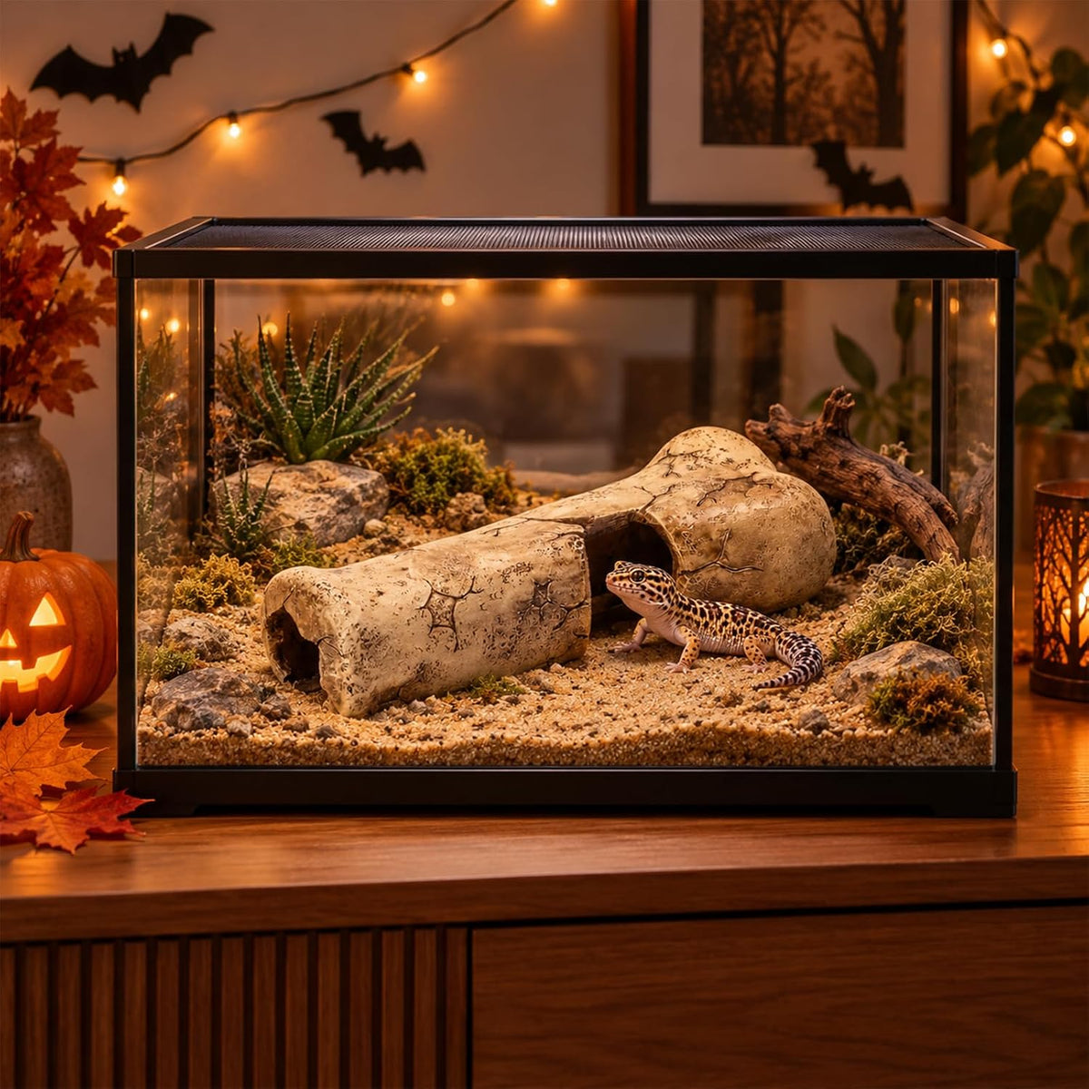 Leopard Gecko & Bearded Dragon Hide, Reptile Hideout Cave
