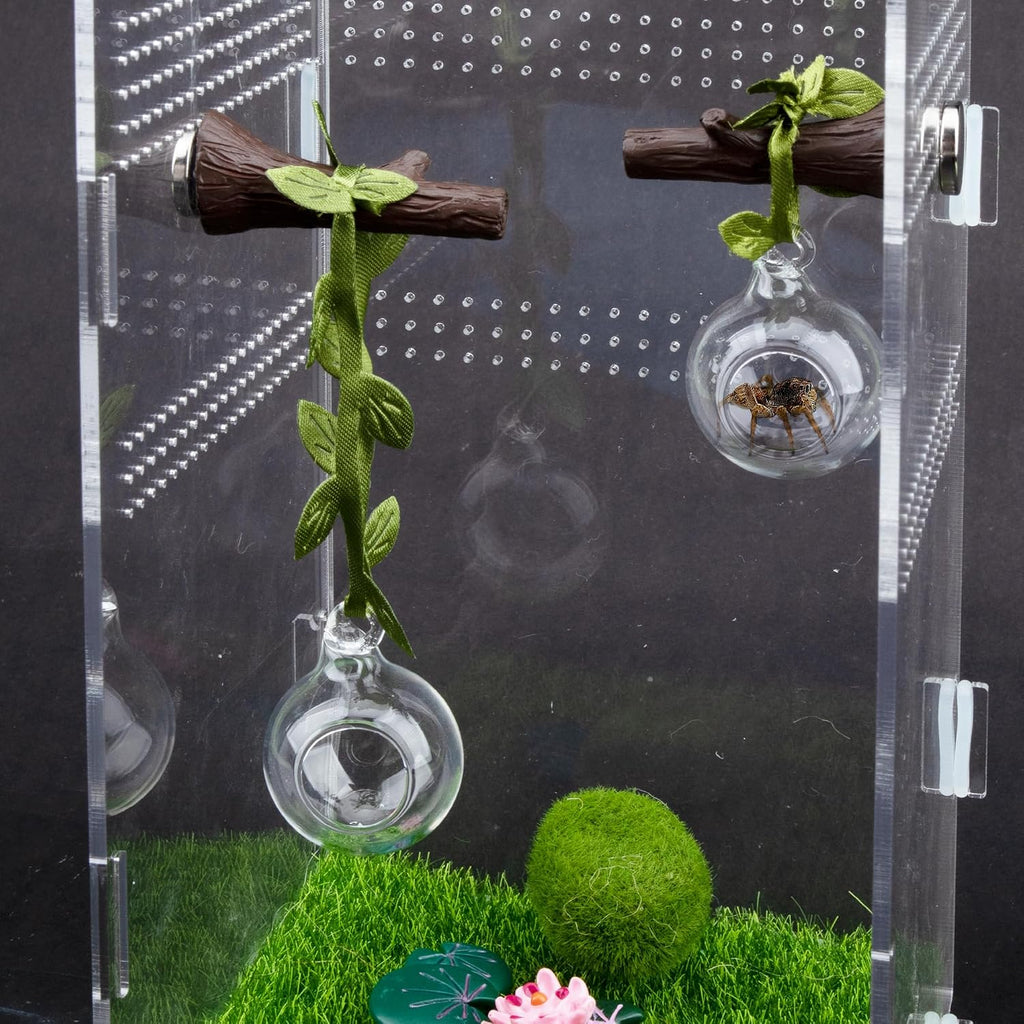 Jumping Spider Accessories for Decor Jumping Spider Enclosure Accessories 4 Pcs