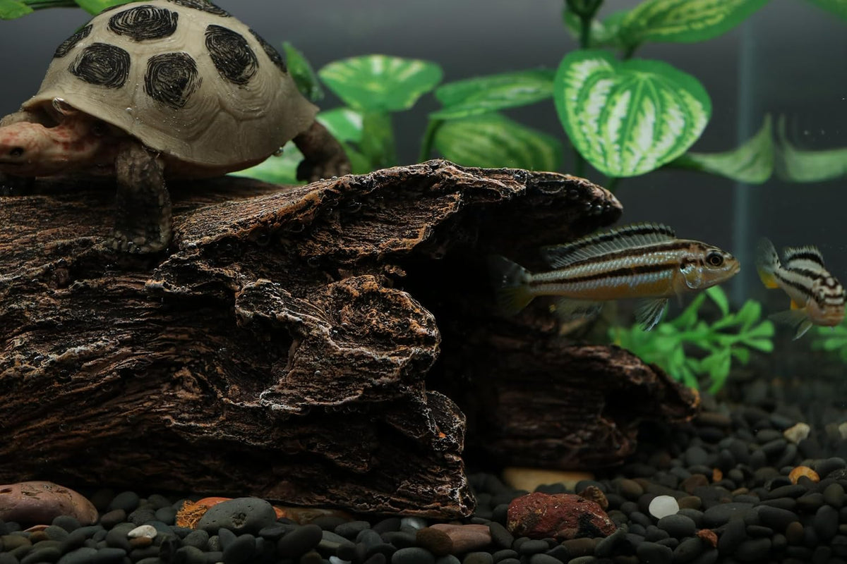 AQUA KT Reptile Hideout Terrarium Tree Trunk Hollow Log Cork Bark for Snake