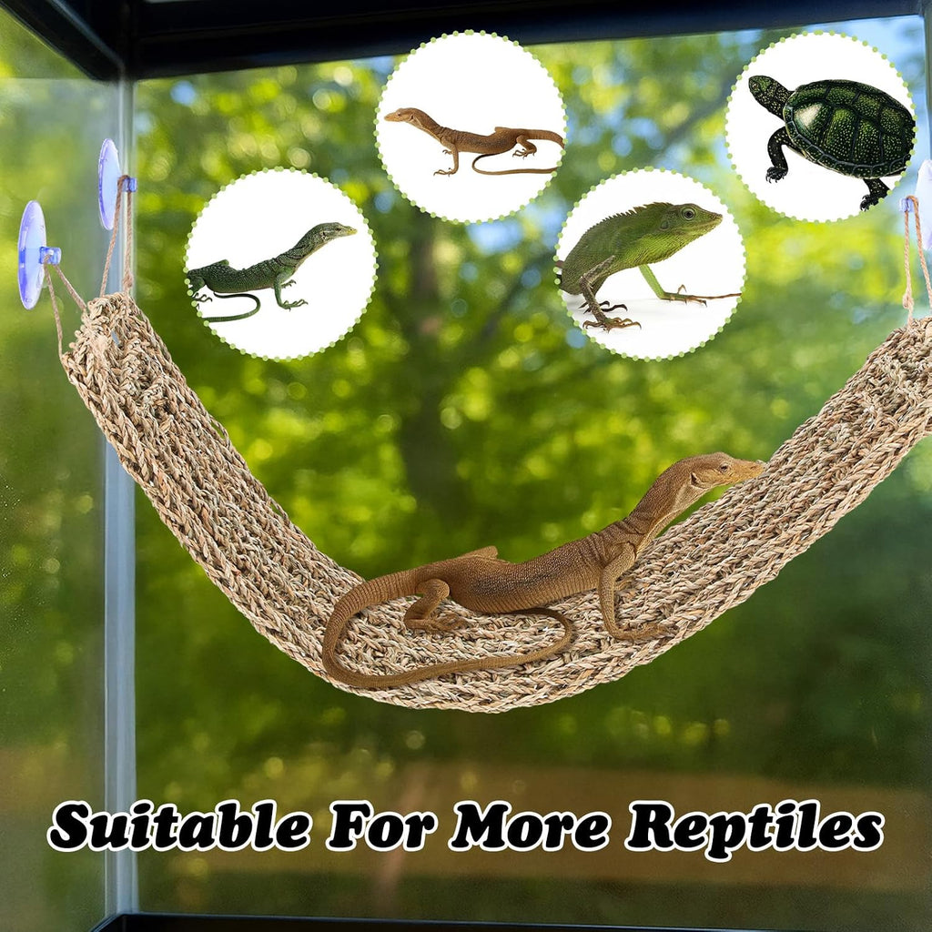 2 Pcs Bearded Dragon Hammock Reptile Lounger, Natural Seagrass Climbing Habitat Decor with Jungle Theme for Lizards, Geckos, Snakes, Iguanas, Amphibians and Terrarium