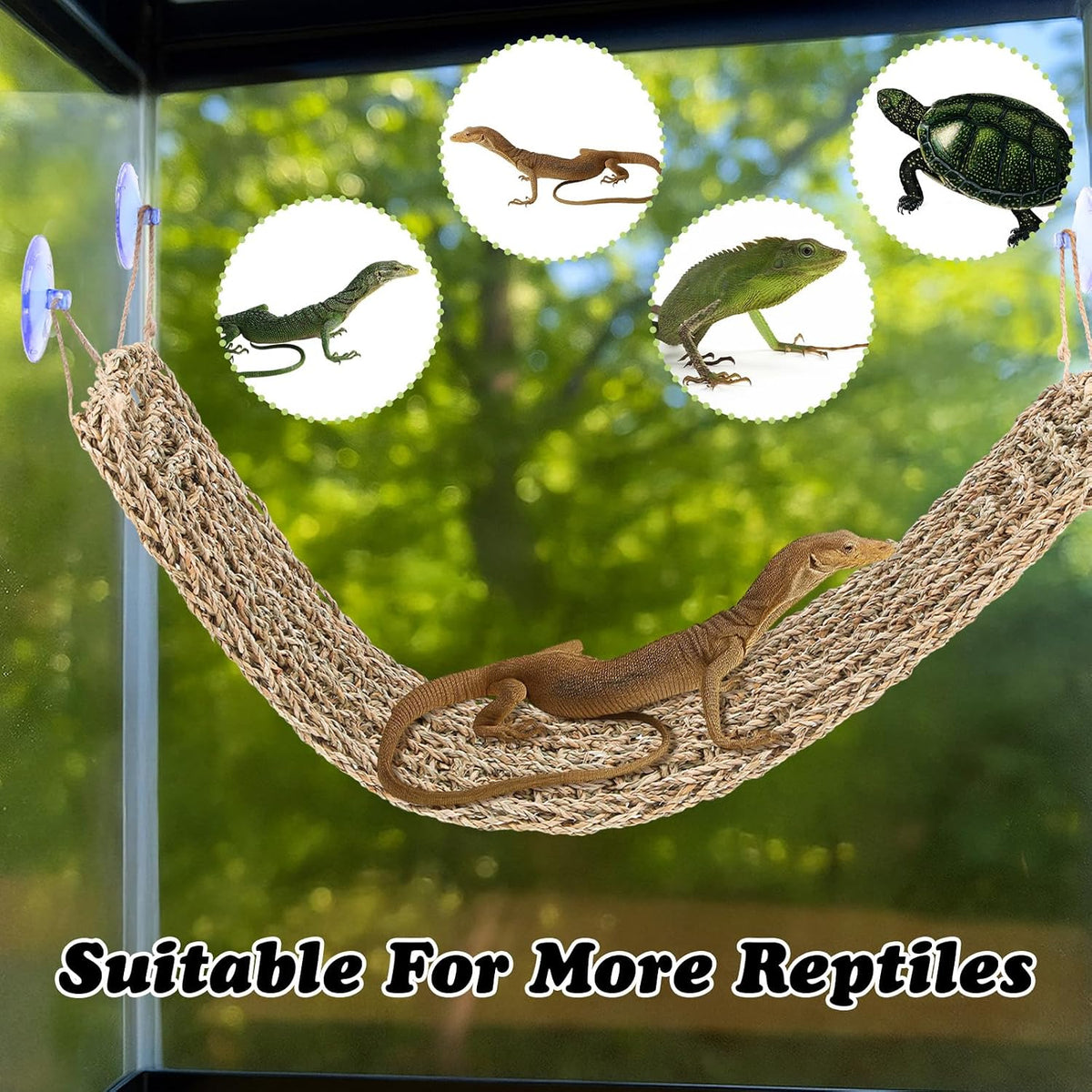 2 Pcs Bearded Dragon Hammock Reptile Lounger, Natural Seagrass Climbing Habitat Decor with Jungle Theme for Lizards, Geckos, Snakes, Iguanas, Amphibians and Terrarium