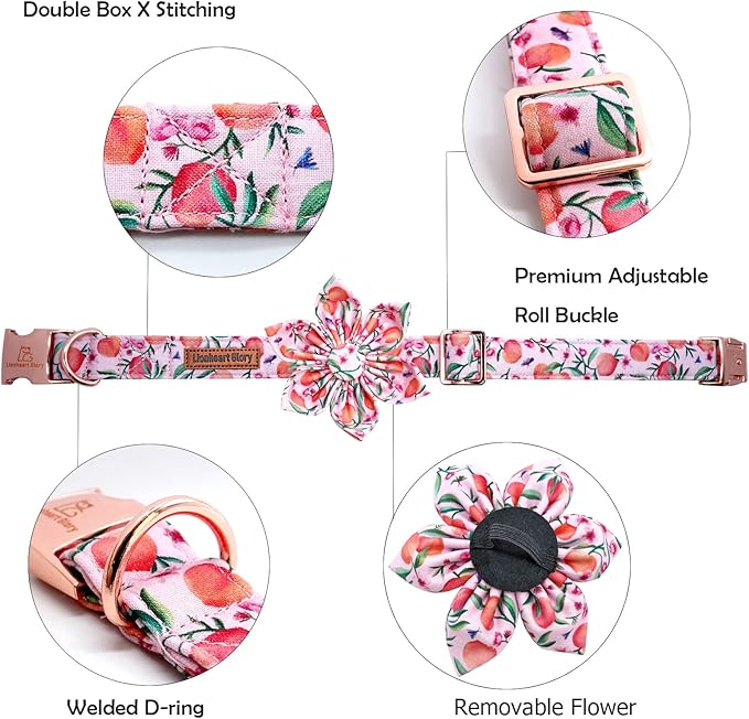 Lionheart Glory Pink Peach Flower Dog Collar - Image 2