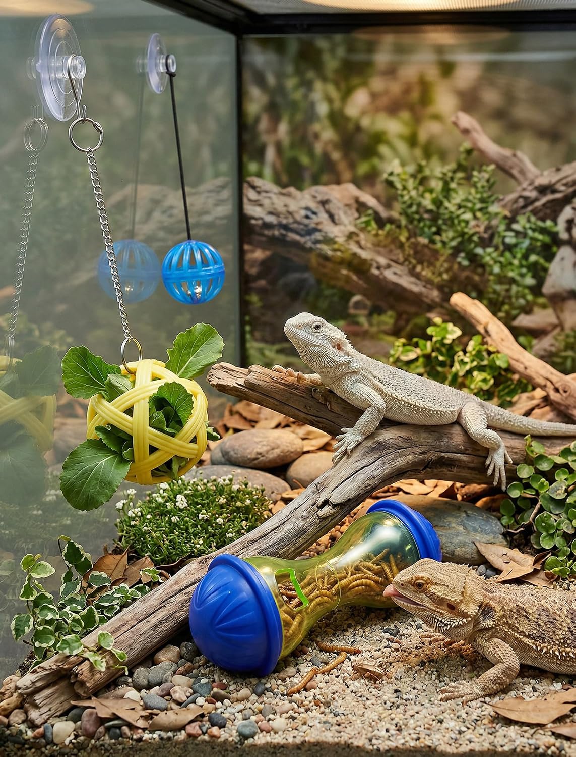 Bearded Dragon Enrichment Toys, Interactive Reptile Feeder Ball Set