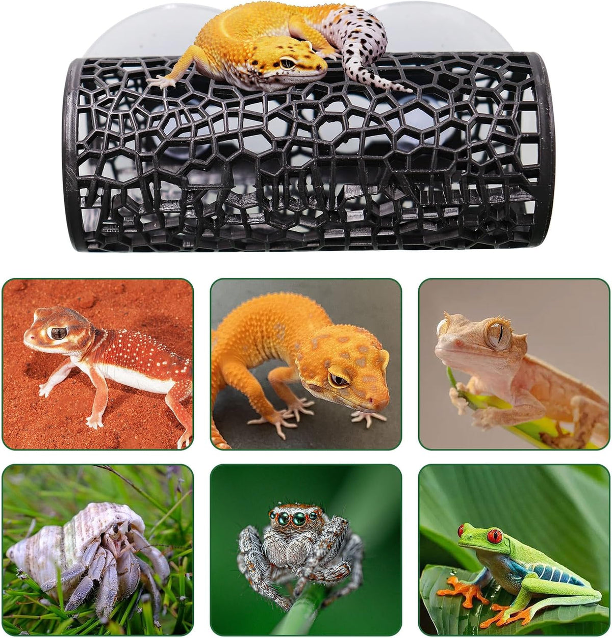 2 Pack Reptile Hide with Suction Cups, Hollowed-Out Hideout and Caves, Hermit Crabs Climbing Toys, Terrarium Decor for Geckos, Snakes, Hermit Crabs, Spiders