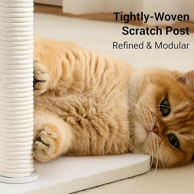 Modern Cat Tree Tower for Indoor Cats up to 12lbs, Wood Cat Bed - Image 4