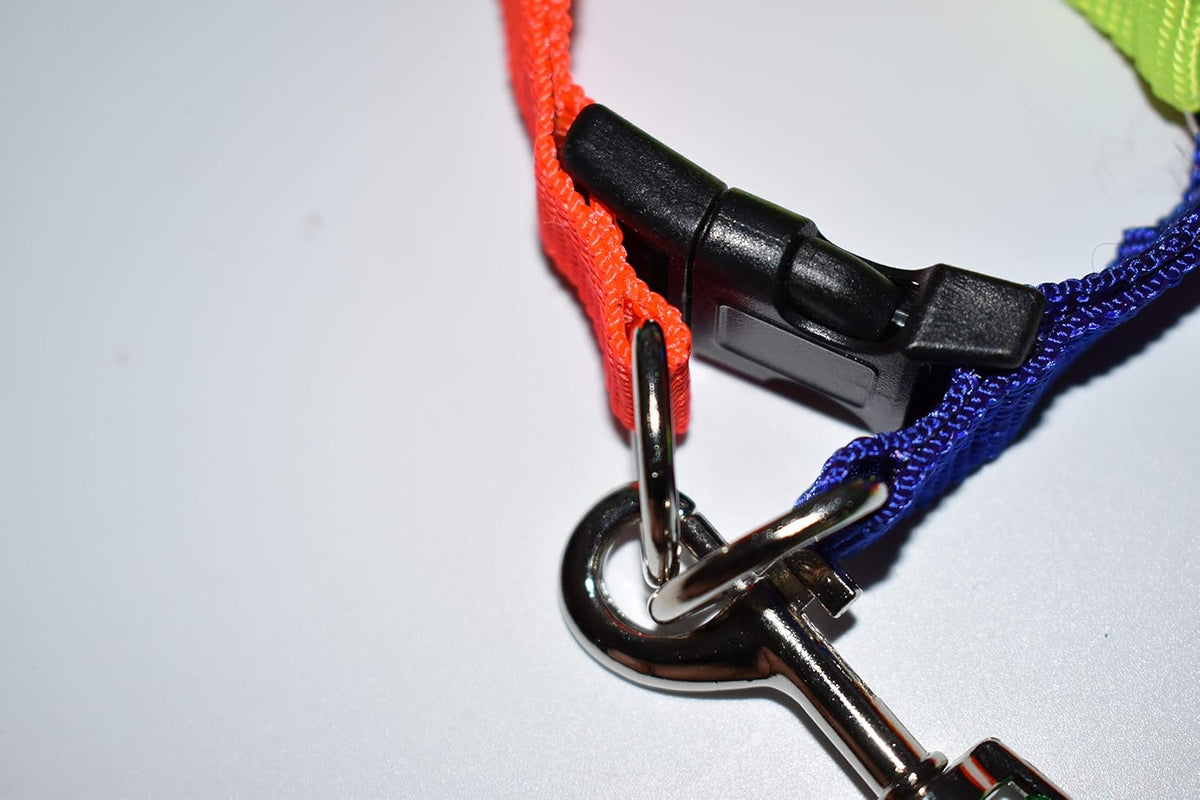 Mini Pig Adjustable Harness Leash for Hog Piggy
