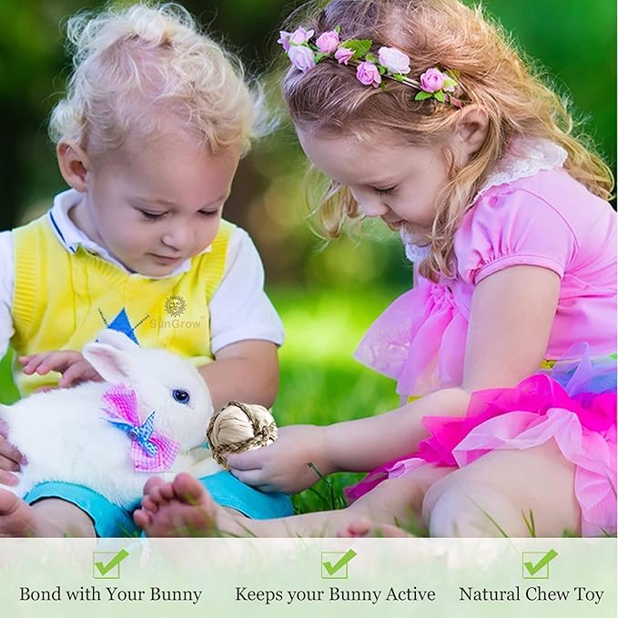 SunGrow Assorted Rabbit & Cat Chew Balls, Teething Activity Toy - Image 5