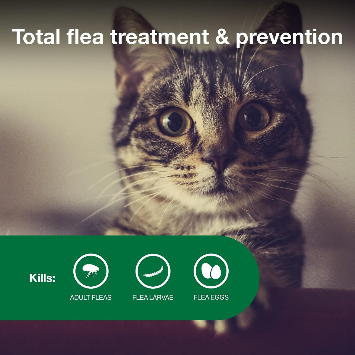 Advantage II Small Cat Topical Flea Treatment & Prevention, 1ct