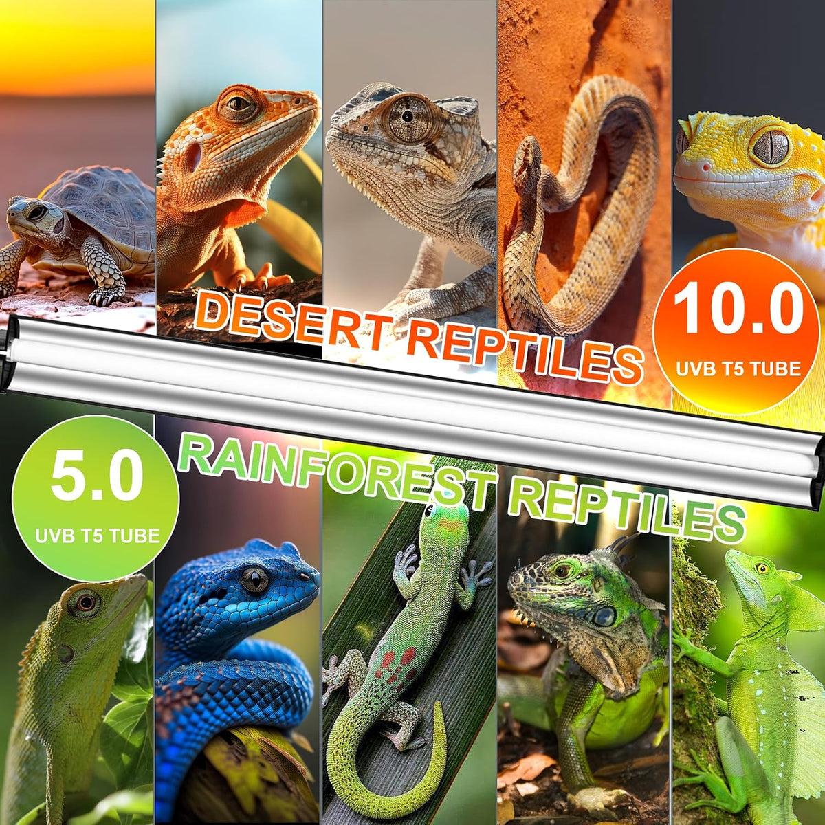 24W T5 UVB Reptile Light Fixture Combo Kit – 10.0 UVB Fluorescent Tube for Bearded Dragons, Lizards & Tortoises – UVA UVB Reptile Light, 22" Terrarium Hood (UVB 10.0-Desert, 22INCH-24W)