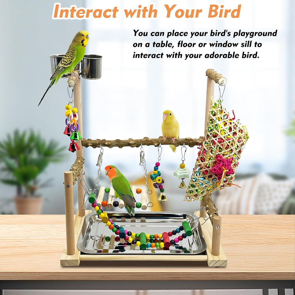 Parrot Play Stand Parakeet Playground Bird Jungle Gym Wood Conure Playstand Hanging Chewing Toys with Feeder Cups and Swings Bird Cage Accessories for Cockatiel Lovebirds Budgie